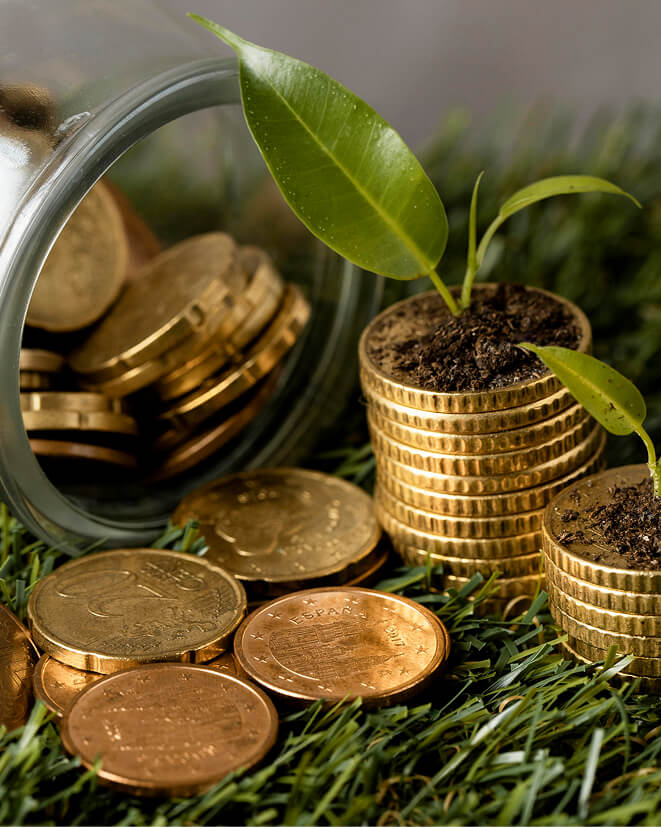 CLIMATE-RELATED FINANCIAL RISK DIRECTIVE (BANK OF GHANA) NOVEMBER 2024